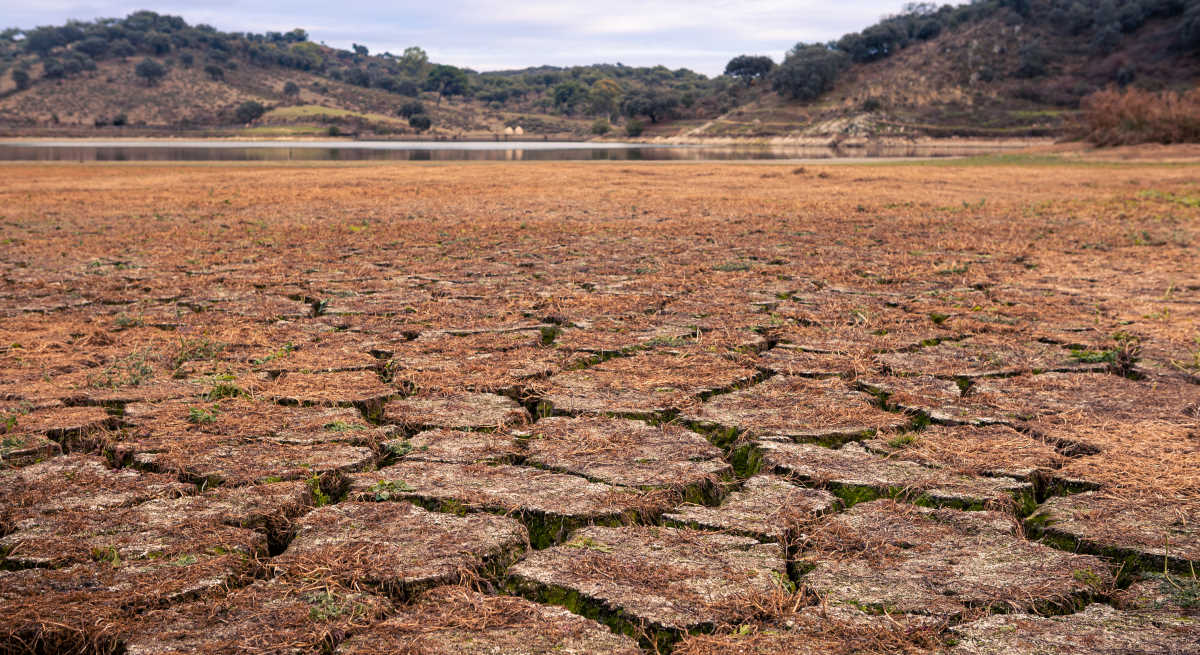 sequia-agua-laguna-hierbas-1200-dreamstime.jpg
