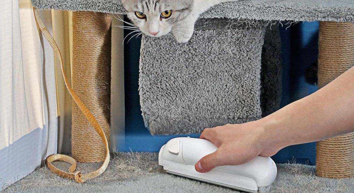 El mejor quitapelos de mascotas con descuento