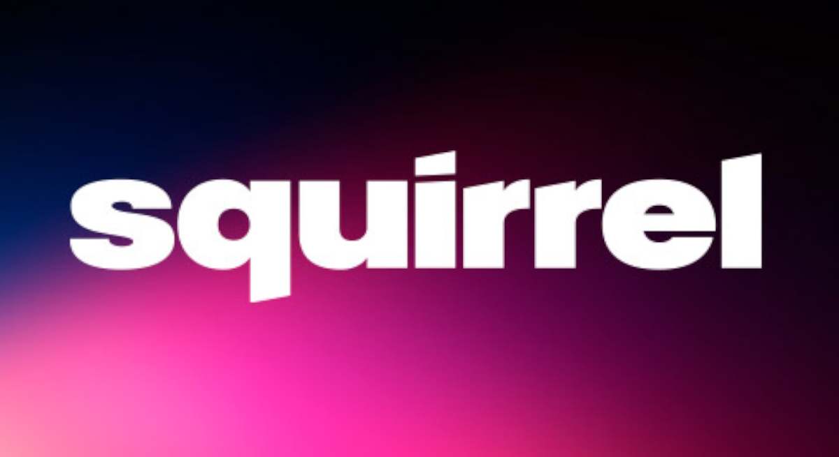 squirrel