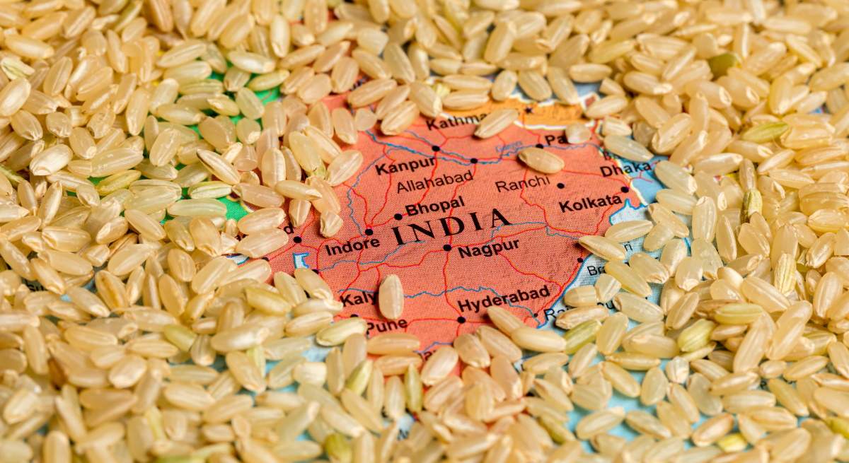 arroz-india-dreams.jpg