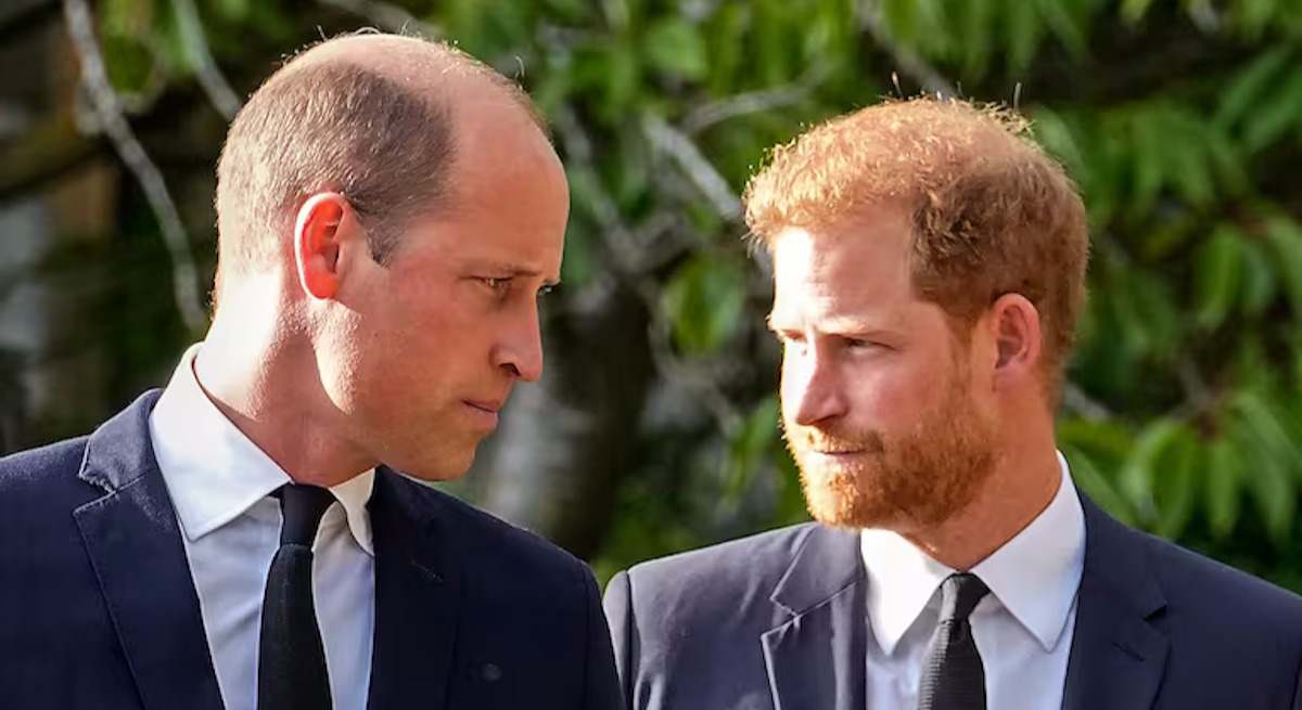 Guillermo y Harry de Inglaterra