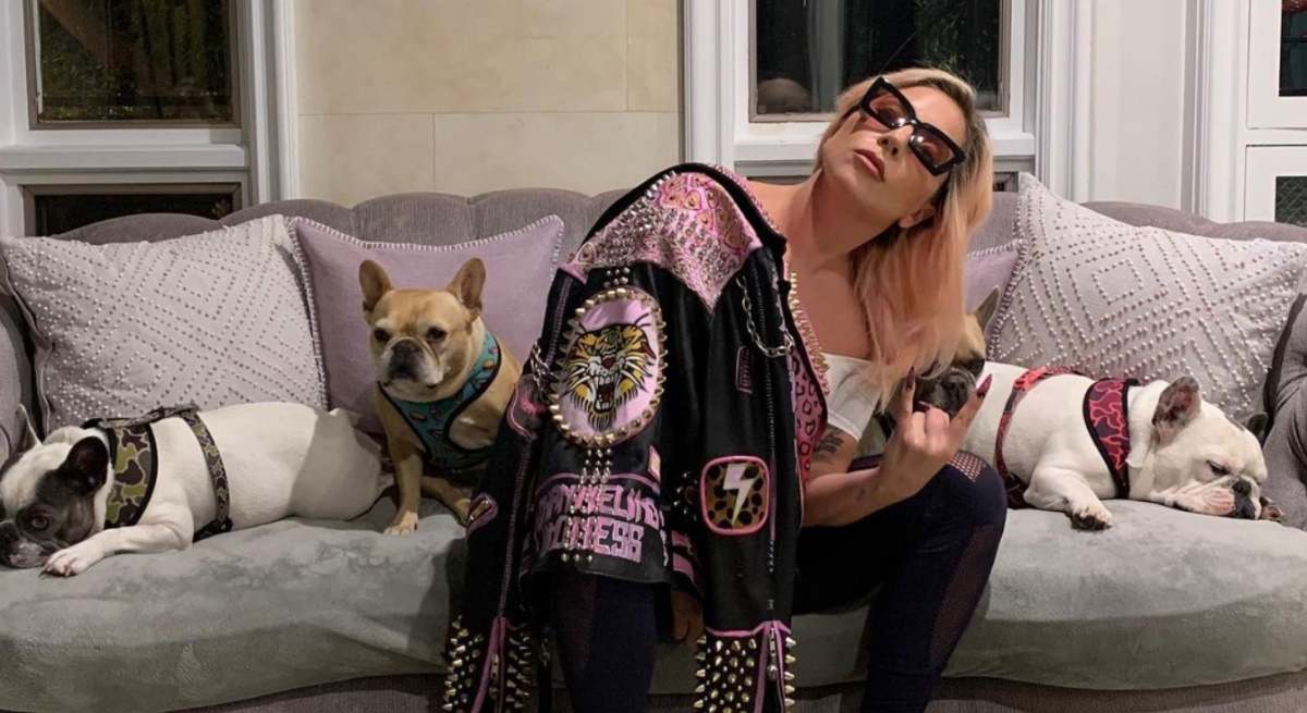lady-gaga-perros-1200.jpg