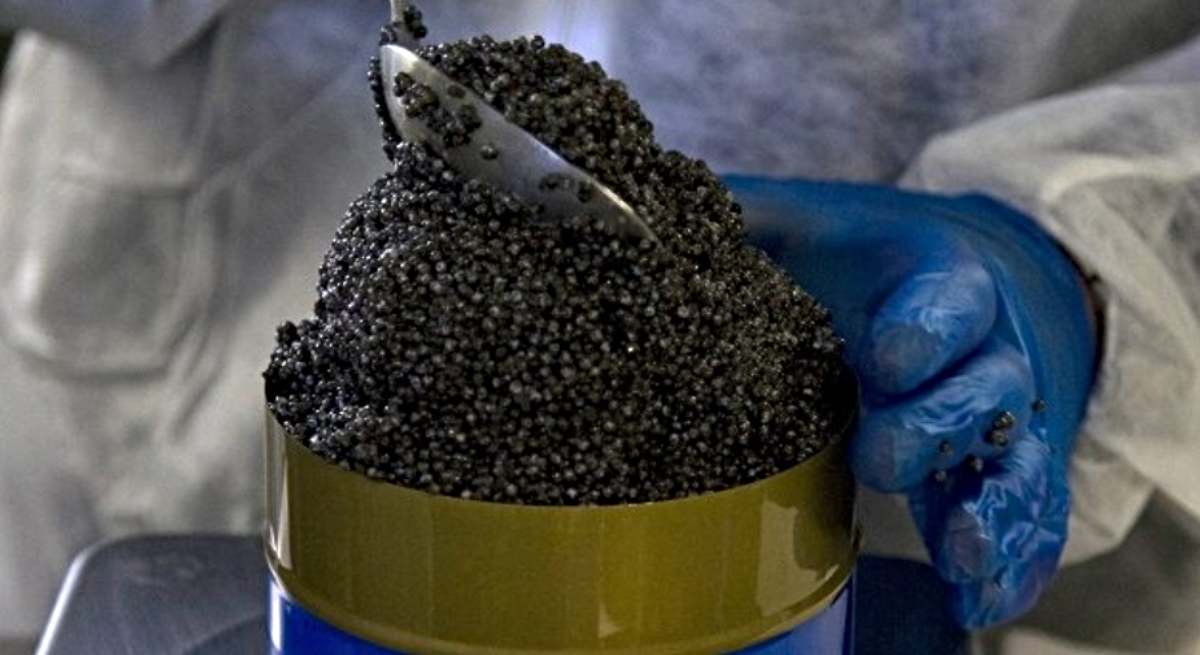 Caviar granadino