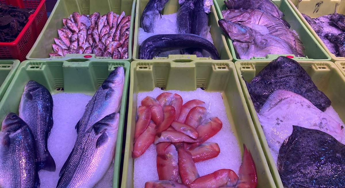 Productos-pesqueros_Cepesca.JPEG