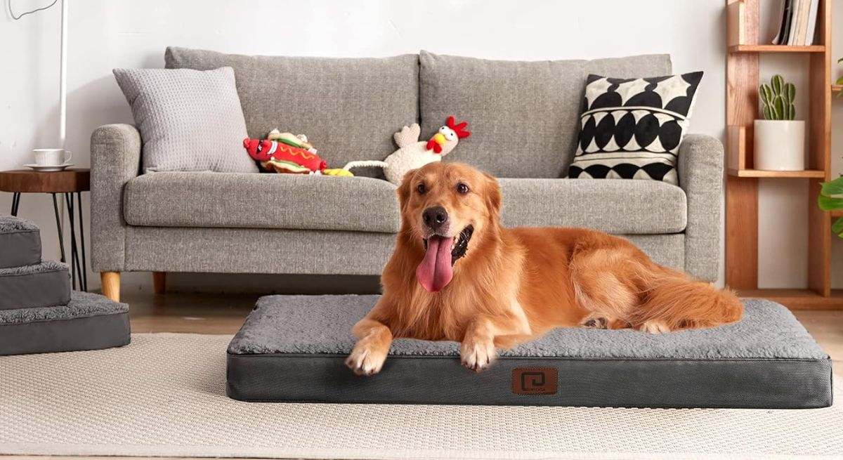 La mejor cama para perros con descuento
