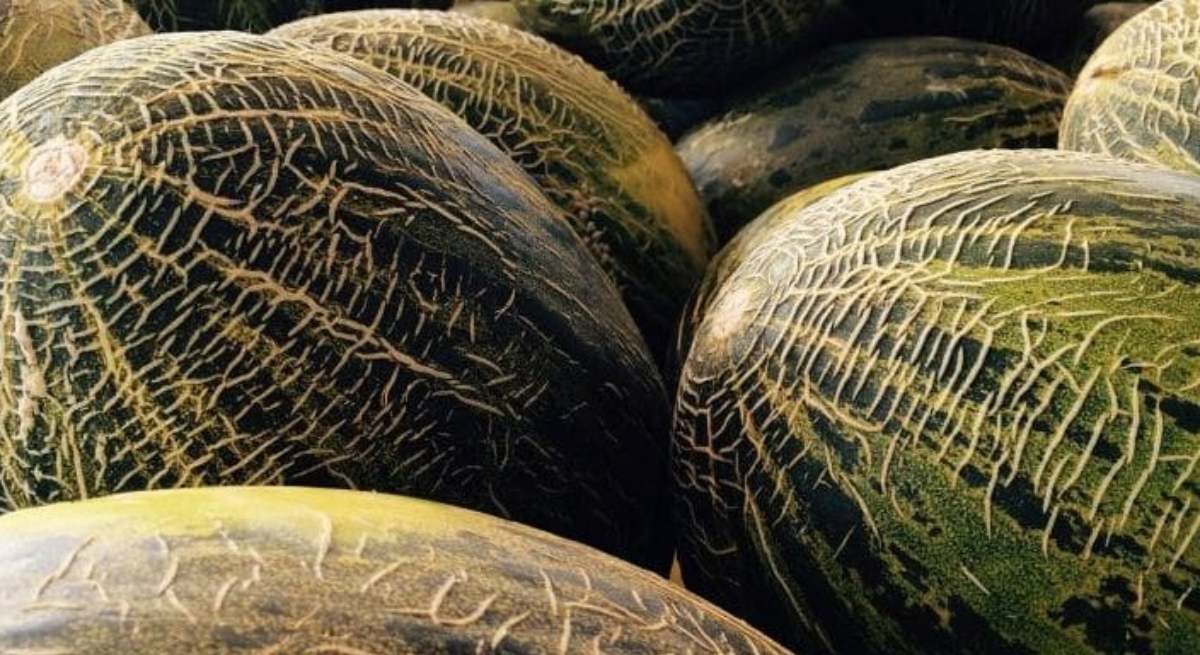 Varios melones / EP