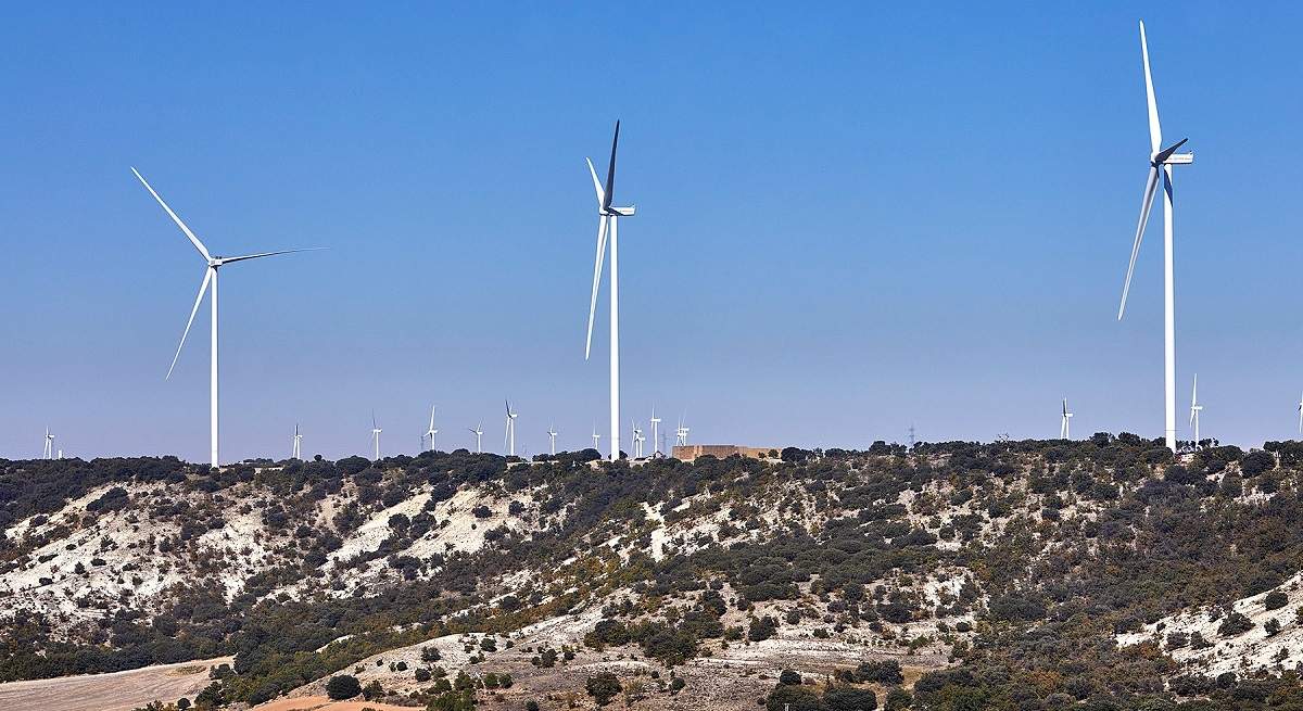 20211015_-Celada-Fusion-046.jpg