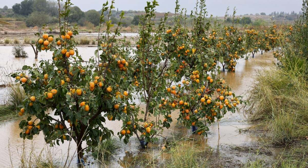 GRAFCVA3805-ESPANA-TIEMPO-LLUVIA).jpg