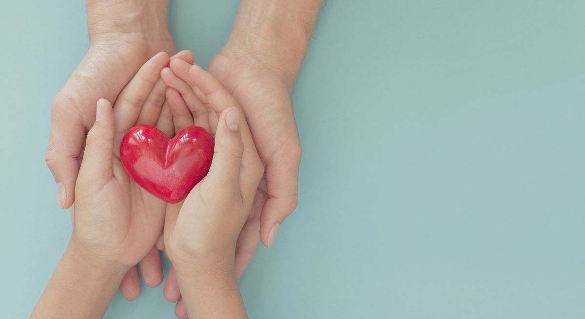 El corazón es el principal órgano del aparato circulatorio humano