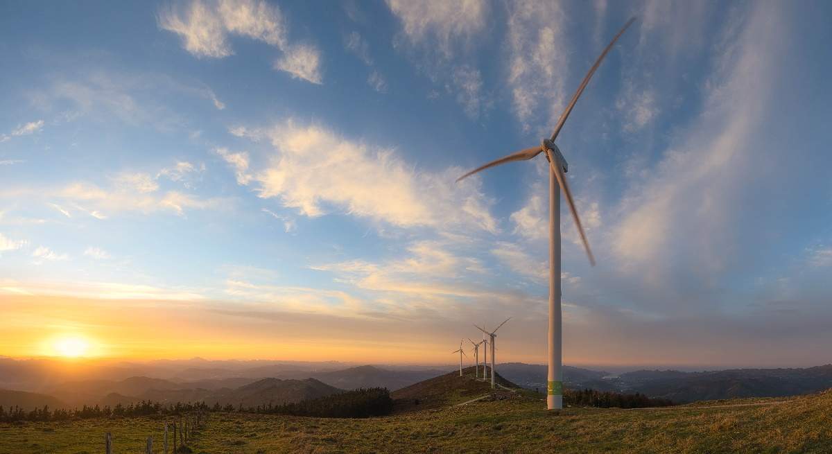iberdrola-parque.jpg