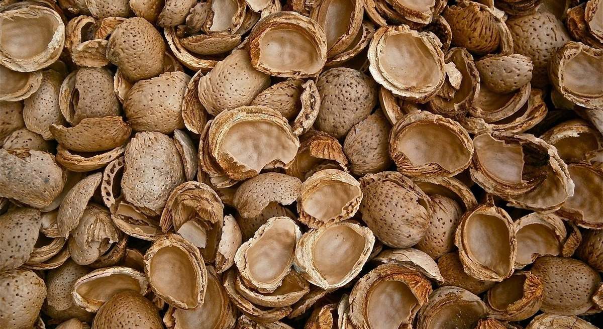 almendras