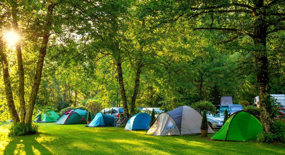 camping.jpg