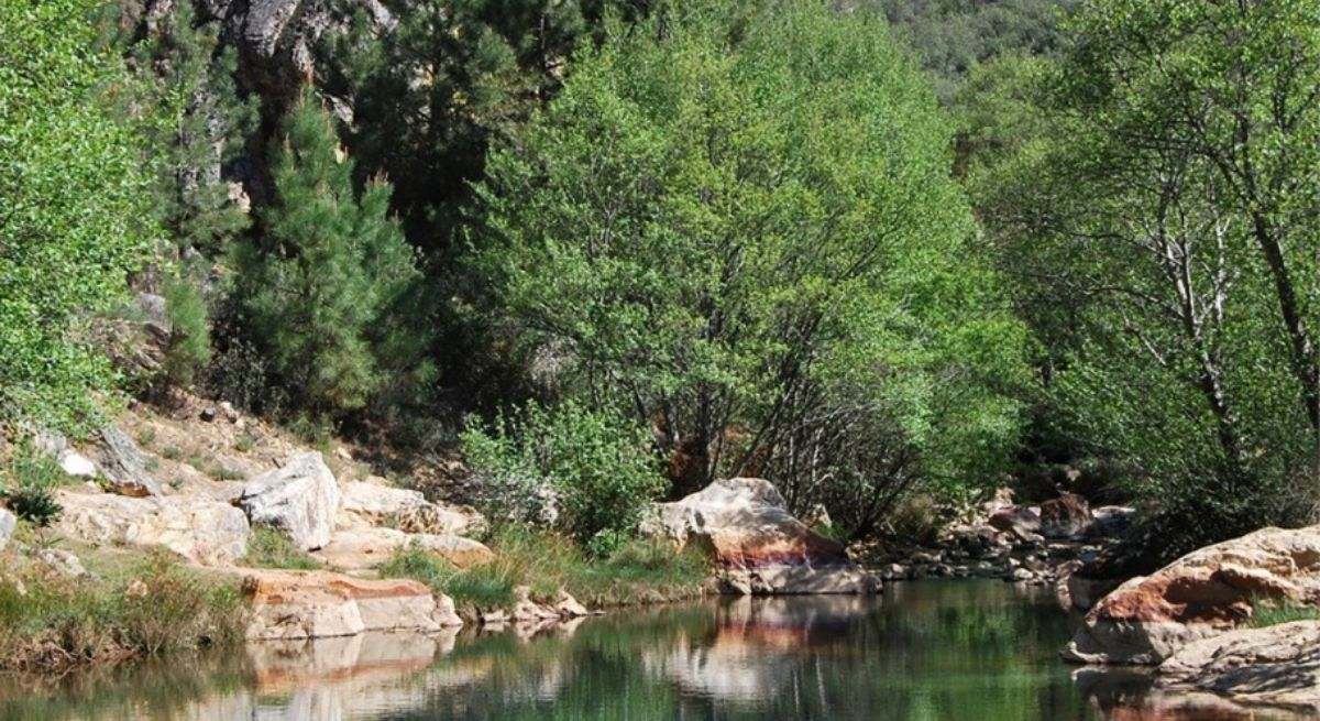La ruta de senderismo para principiantes que tienes que hacer sí o sí: un oasis natural en verano con sombra, pozas y un entorno único
