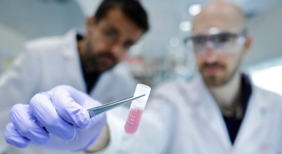 1-Investigadores-trabajando-en-el-laboratorio-1.jpg