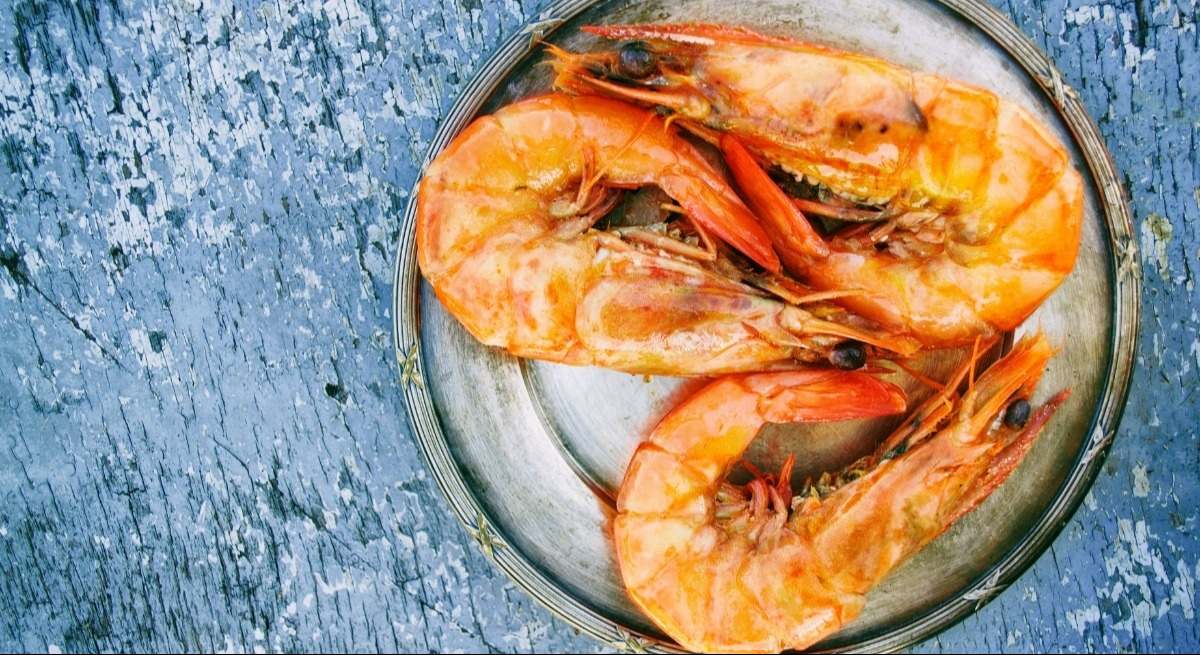 gambas-canva