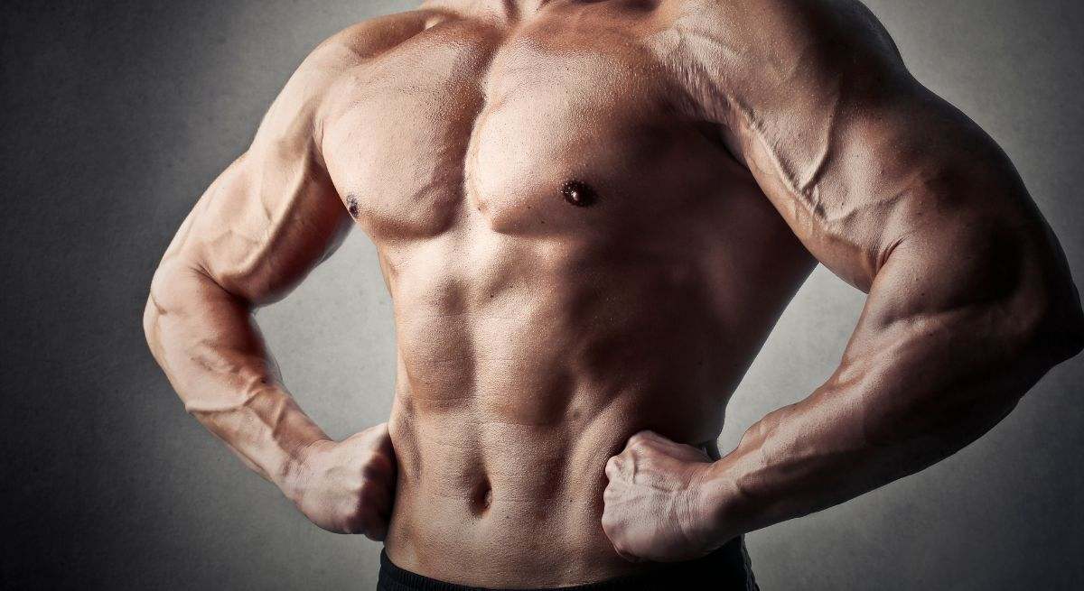 Masa muscular