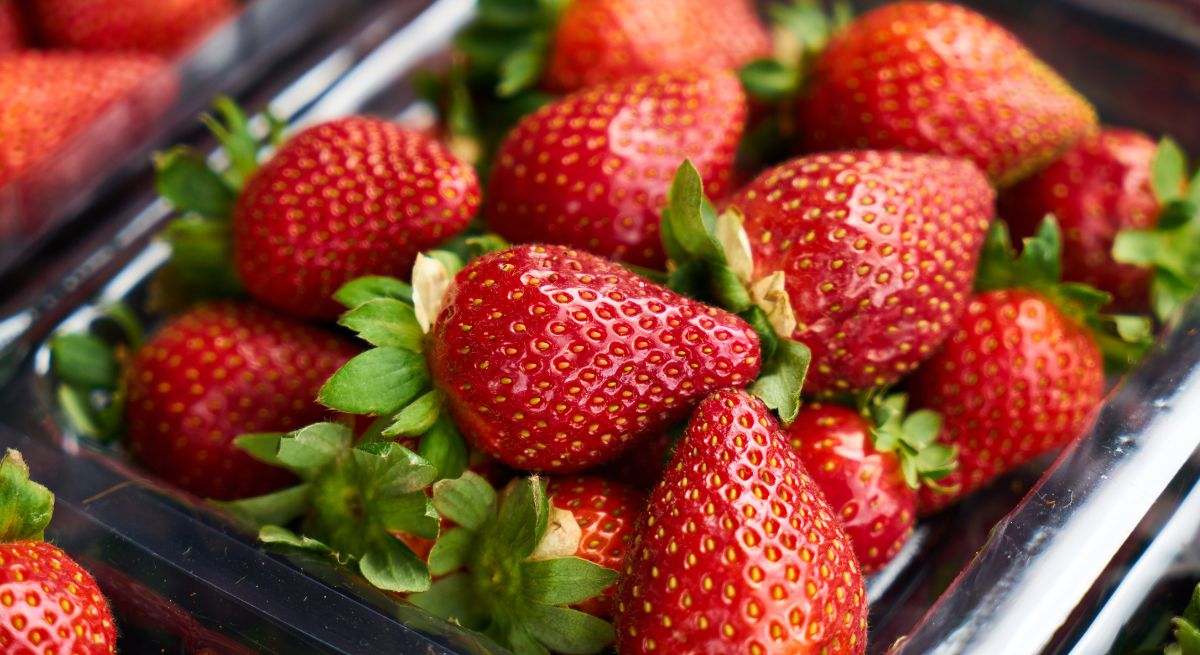 Las fresas son muy versátiles en la cocina