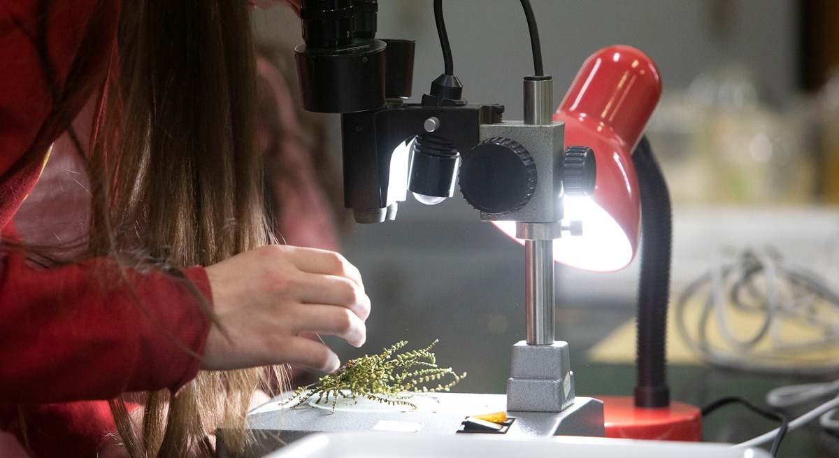 ciencia tecnologia