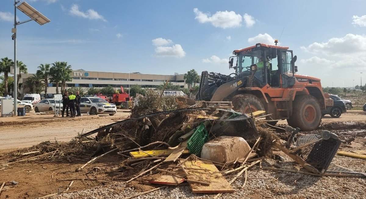 Trabajos de limpieza en Ribarroja.