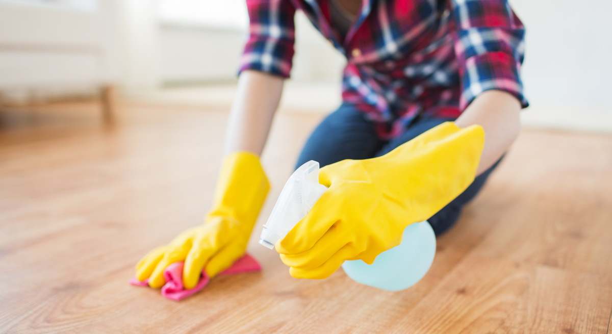 trabajadora-hogar-limpia-guantes-dreamstime.jpg