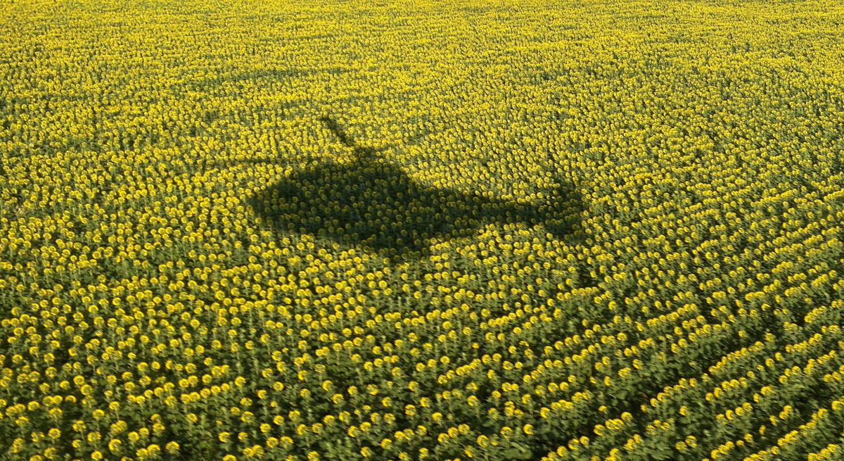campo-girasoles-ucrania-helicoptero-reuters.jpg