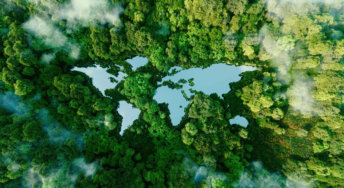 mundo-verde-1200.jpg