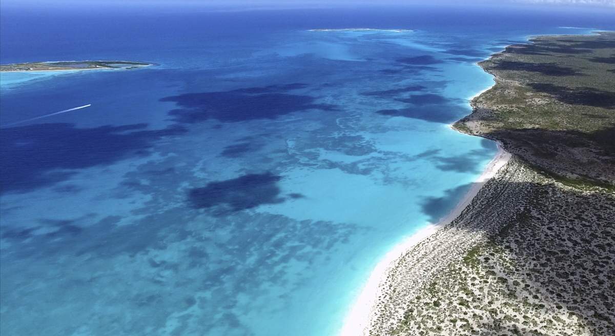 isla-tortuga-venezuela-dreamstime.jpg
