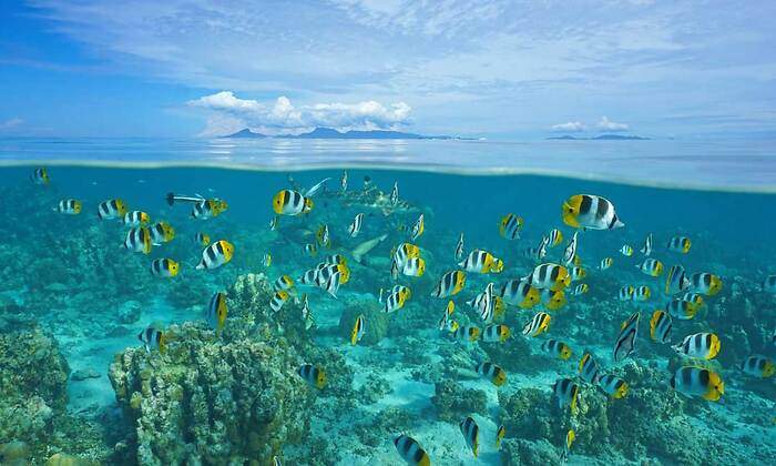 oceano-1200-iStock-1073963404.jpg