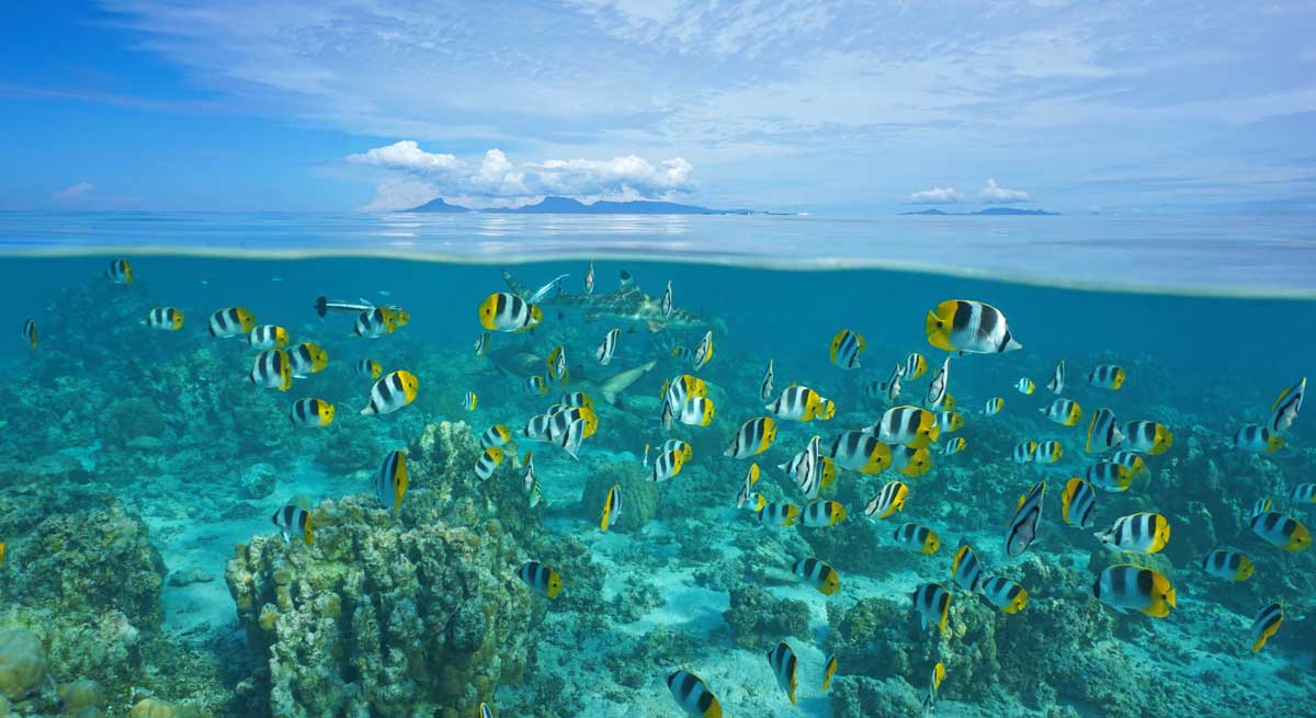 oceano-1200-iStock-1073963404.jpg