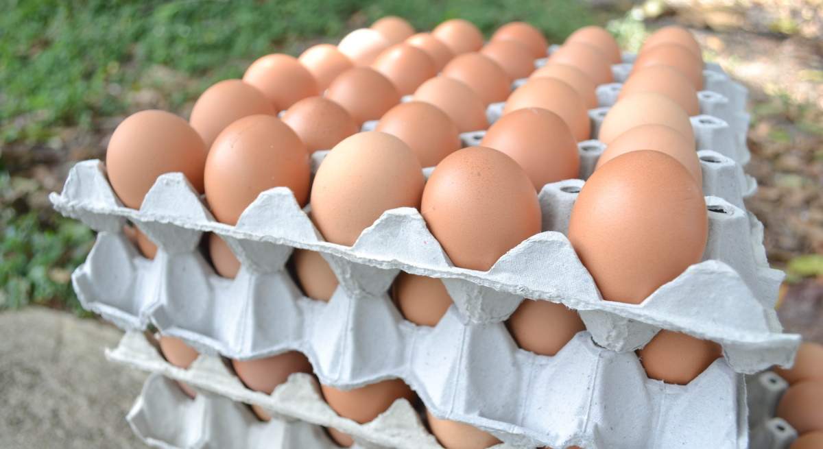 HUevos