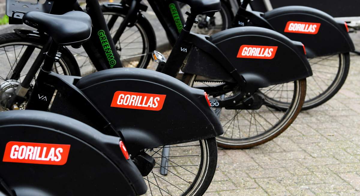 Gorillas