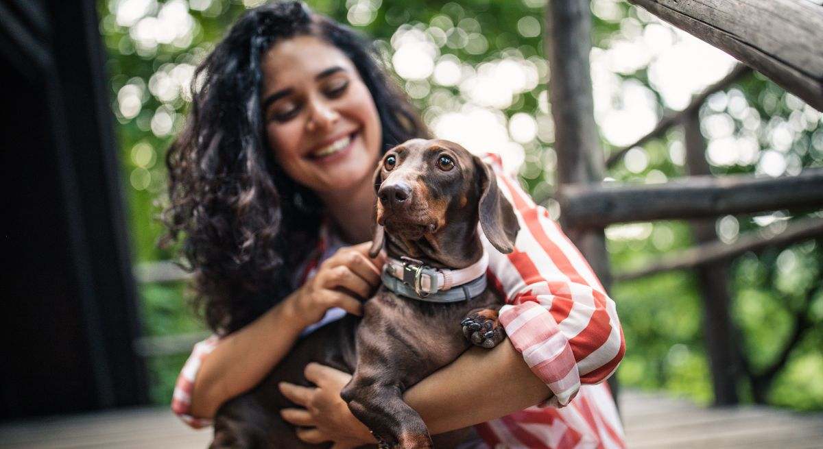 Ni Nala ni Simba: este es el nombre de perro más usado en España según un estudio