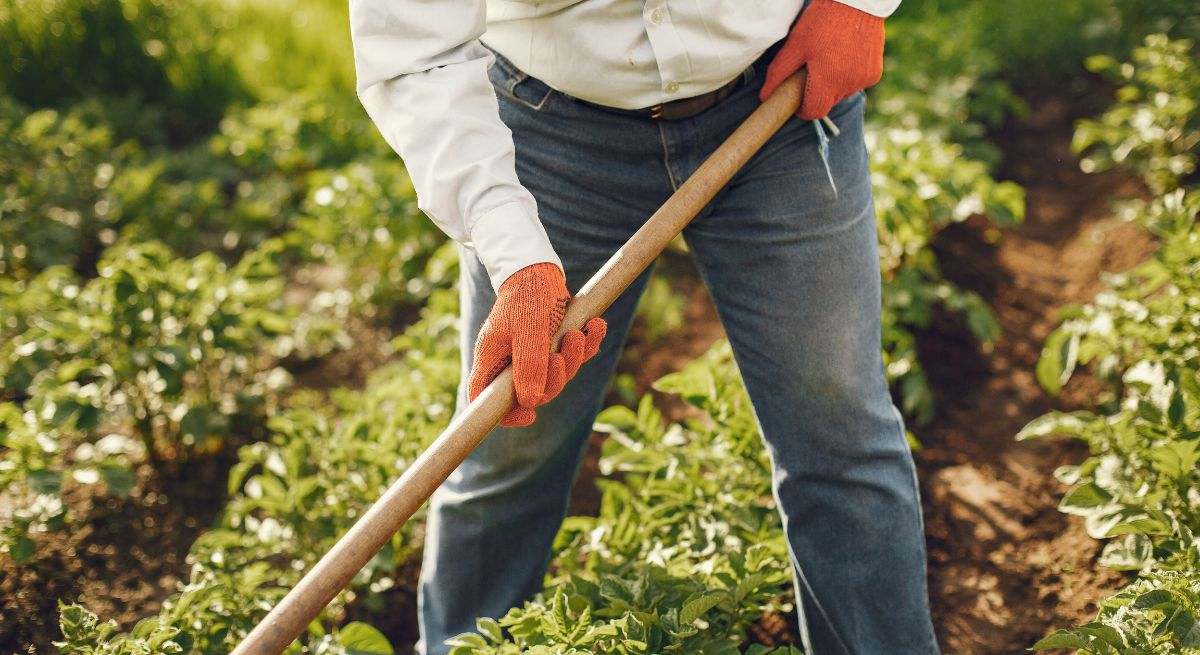 agricultor-detalle-recurso-pexels.jpg