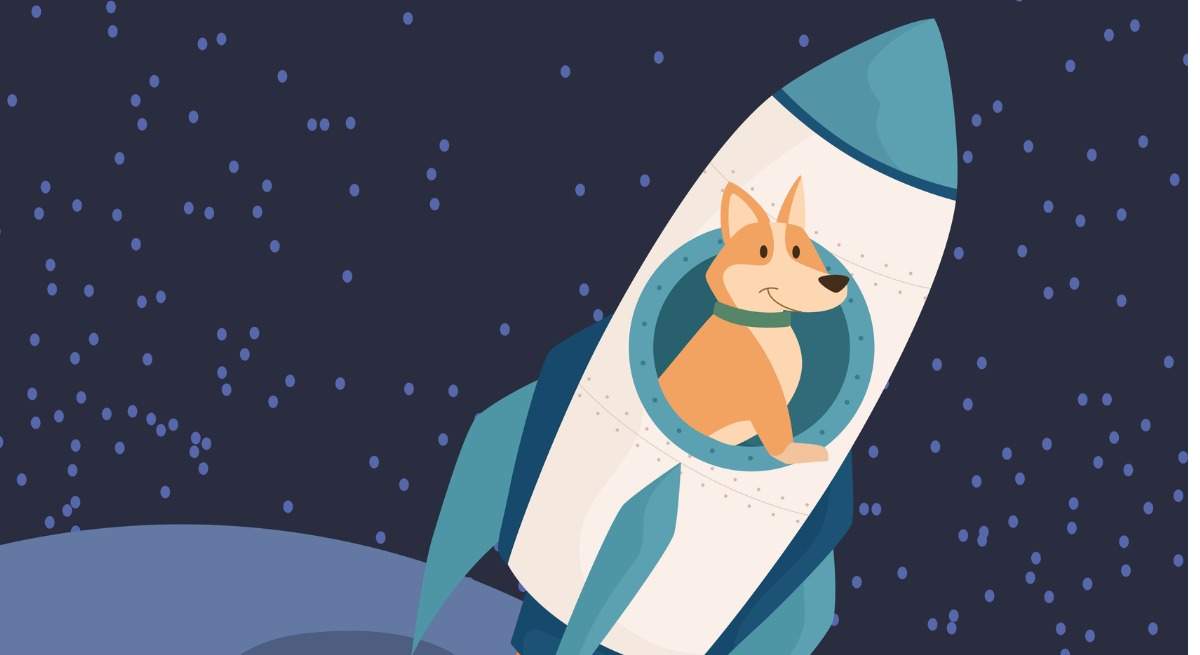 perros-bolsa-istock.jpg