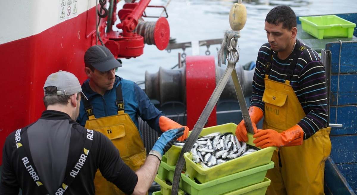 recurso_pescado_galicia