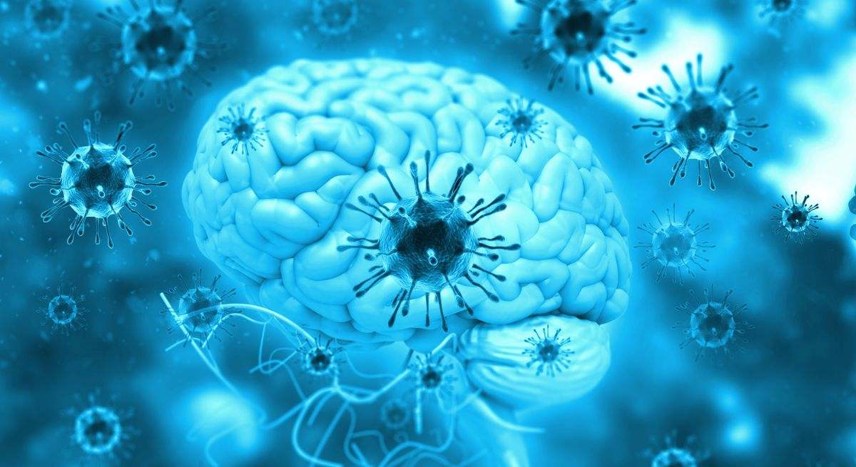 El libro que revela si los virus que portamos podrían acelerar enfermedades como el Alzheimer o la Esclerosis Múltiple