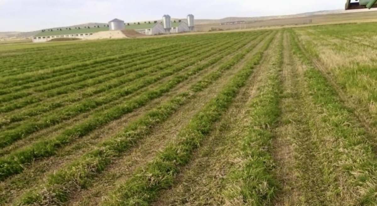 agricultura aragon