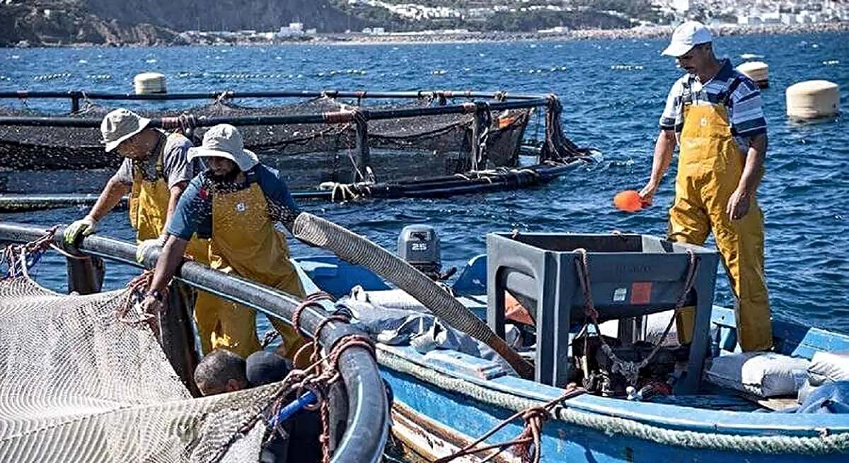 Pescadores marroquíes
