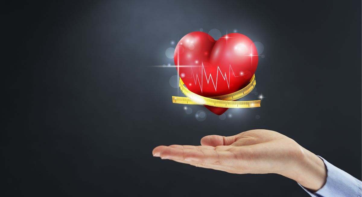 El corazón es el principal órgano del aparato circulatorio humano