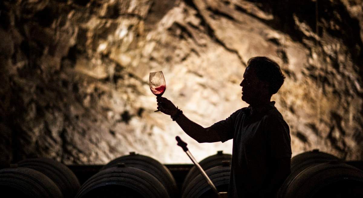 IBERIAN_Bodegas-y-Vinedos-de-Cal-Grau_DOQ-Priorato.jpg