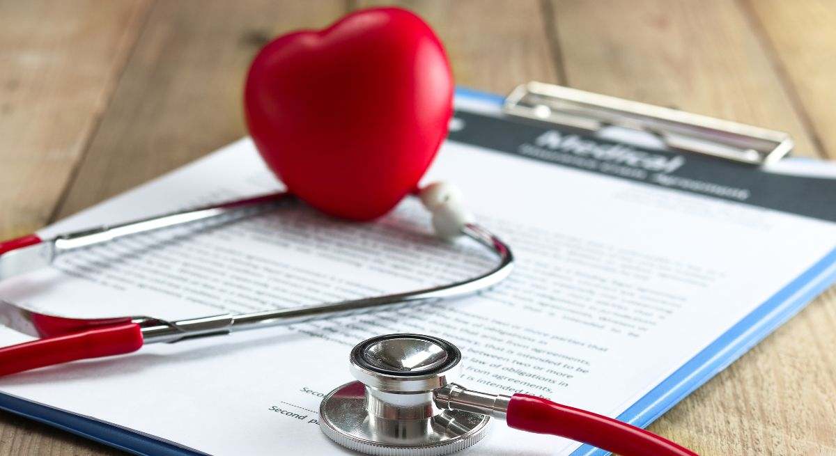 El corazón es el principal órgano del aparato circulatorio humano 