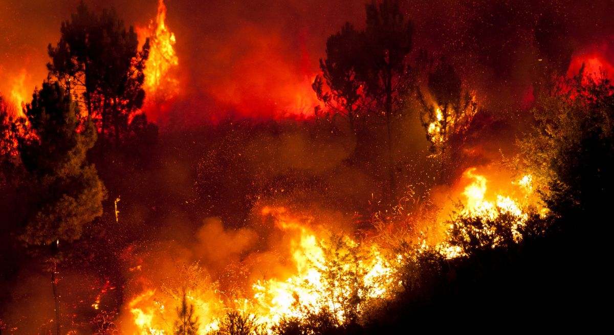 Los incendios afectan a la salud mental de quienes viven en la zona. 