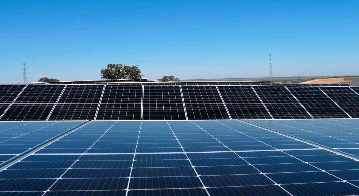 Paneles solares de Acciona Energía