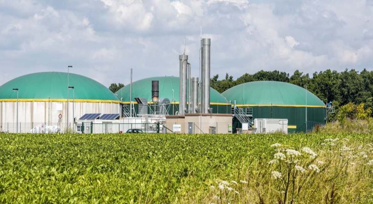 Planta de biogás.