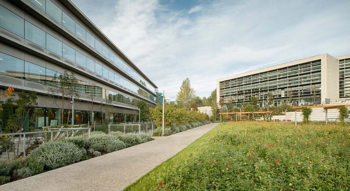 Roche-Barcelona-Sant-Cugat_Campus-_01.jpg