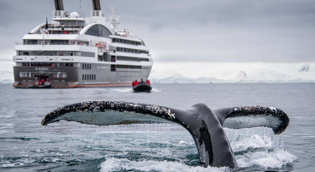 crucero-ponant-1.jpg