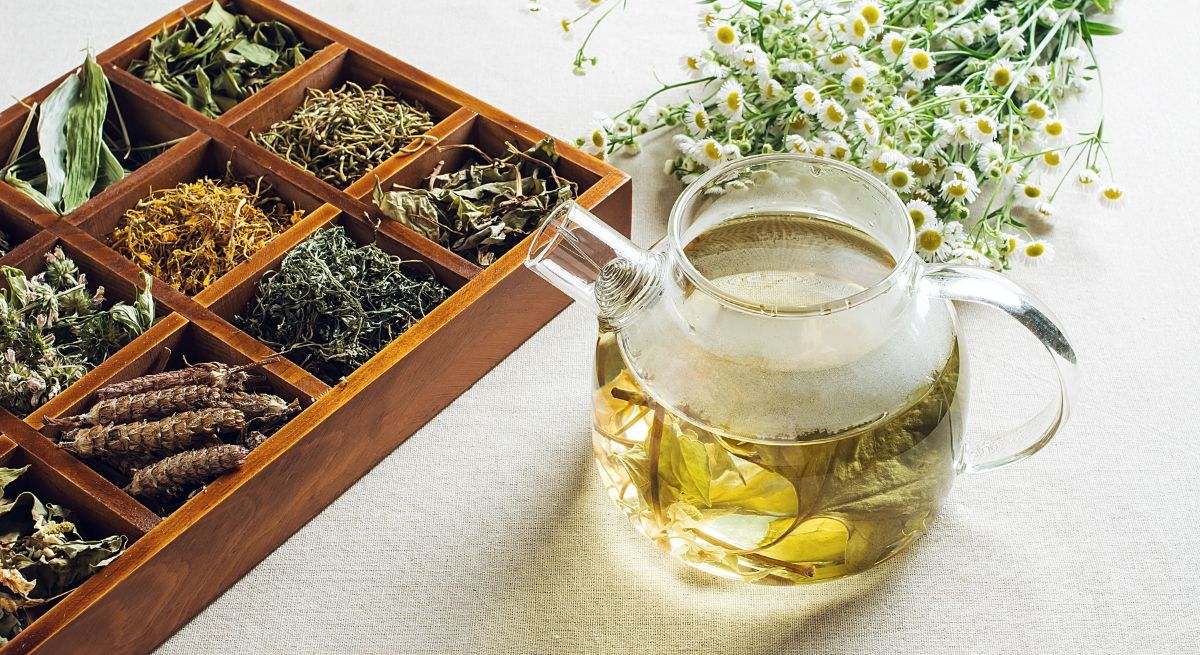 El té más efectivo para mantener los dientes sanos, prevenir la osteoporosis y regular la presión arterial