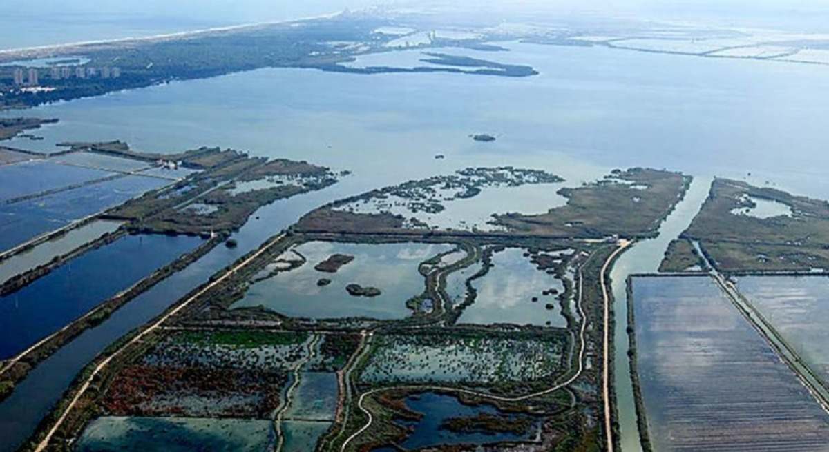 Albufera de Valencia