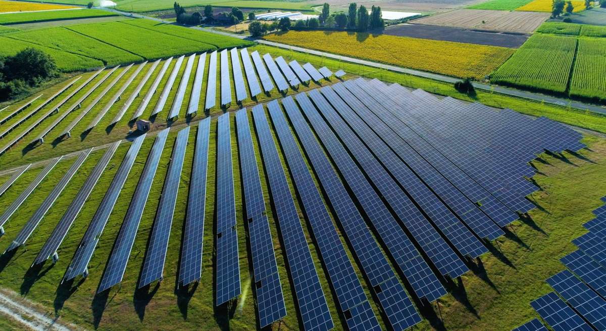 Amazon Solar