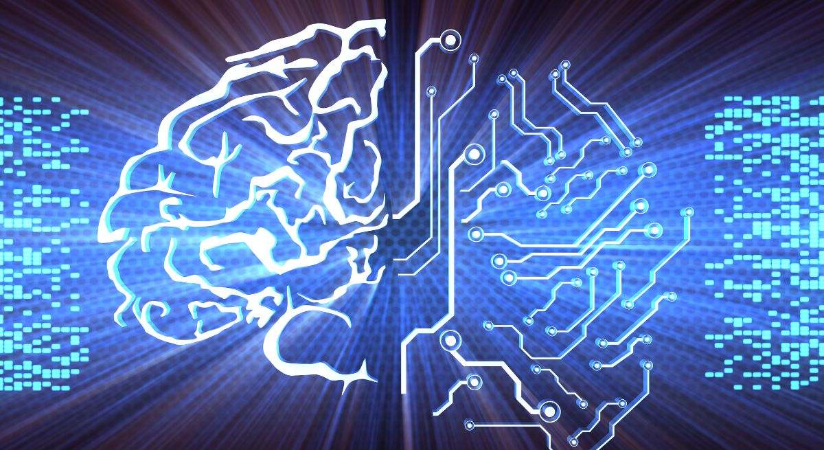El cerebro es la estructura principal responsable de la coordinación y del control del organismo